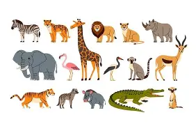 Illustrated field guide showing safari animals including zebra, tiger, giraffe, lion, elephant, rhinoceros, flamingo, ostrich, antelope, crocodile and meerkat